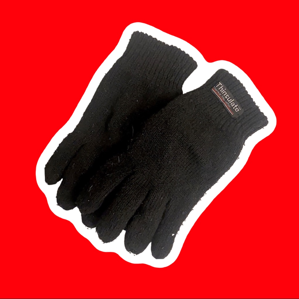 Thinsulate Snow Mittens